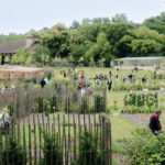 "Retour en images sur l'inauguration du Potager-Jardin"