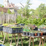 "La cuisine du potager"