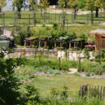 "Promenade dans le Potager-Jardin"