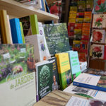 "[Librairie-boutique] Quels livres pour rendre le sapin plus vert ? Les conseils de notre jardinière..."