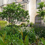 "[2 et 3 juillet] Nouvelle collection du Jardin des 9 carr&eacute;s : programme complet du week-end d'inauguration"