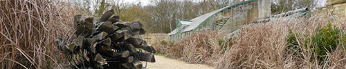 Ganivelles dans le Potager-Jardin