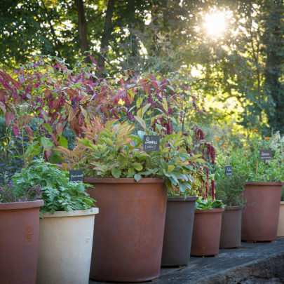 Le jardin des 9 carrés de l'abbaye de Royaumont