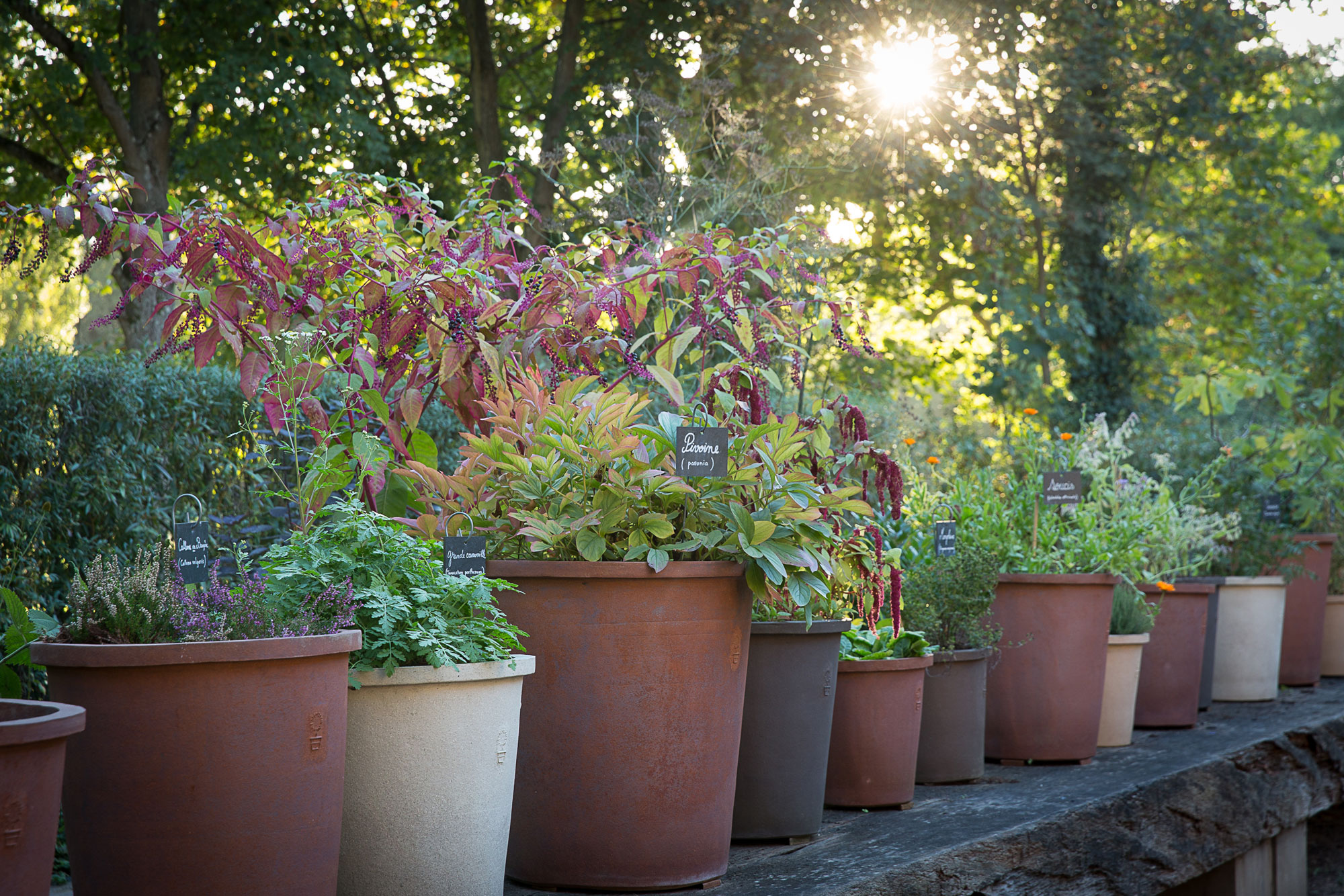 Le jardin des 9 carr&eacute;s de l'abbaye de Royaumont