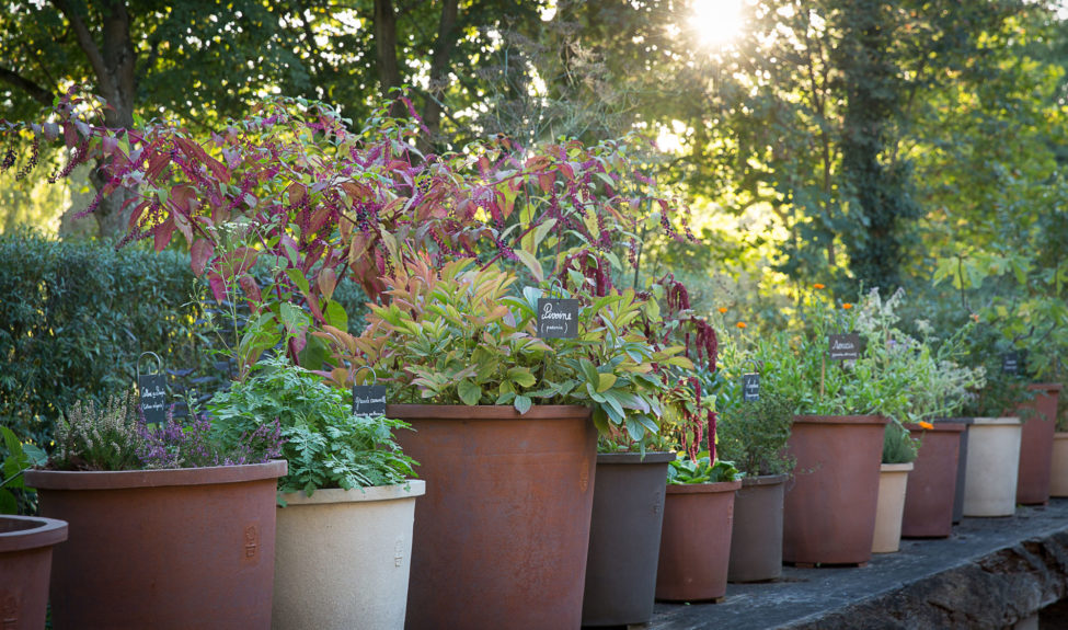 Le jardin des 9 carrés de l'abbaye de Royaumont