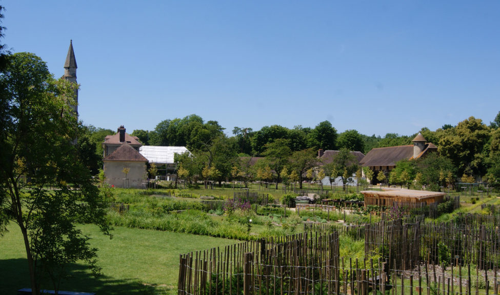 Le Potager jardin de l'abbaye de Royaumont