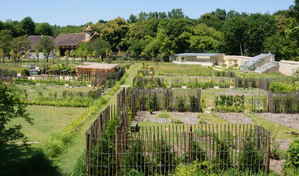 Le Potager jardin de l'abbaye de Royaumont
