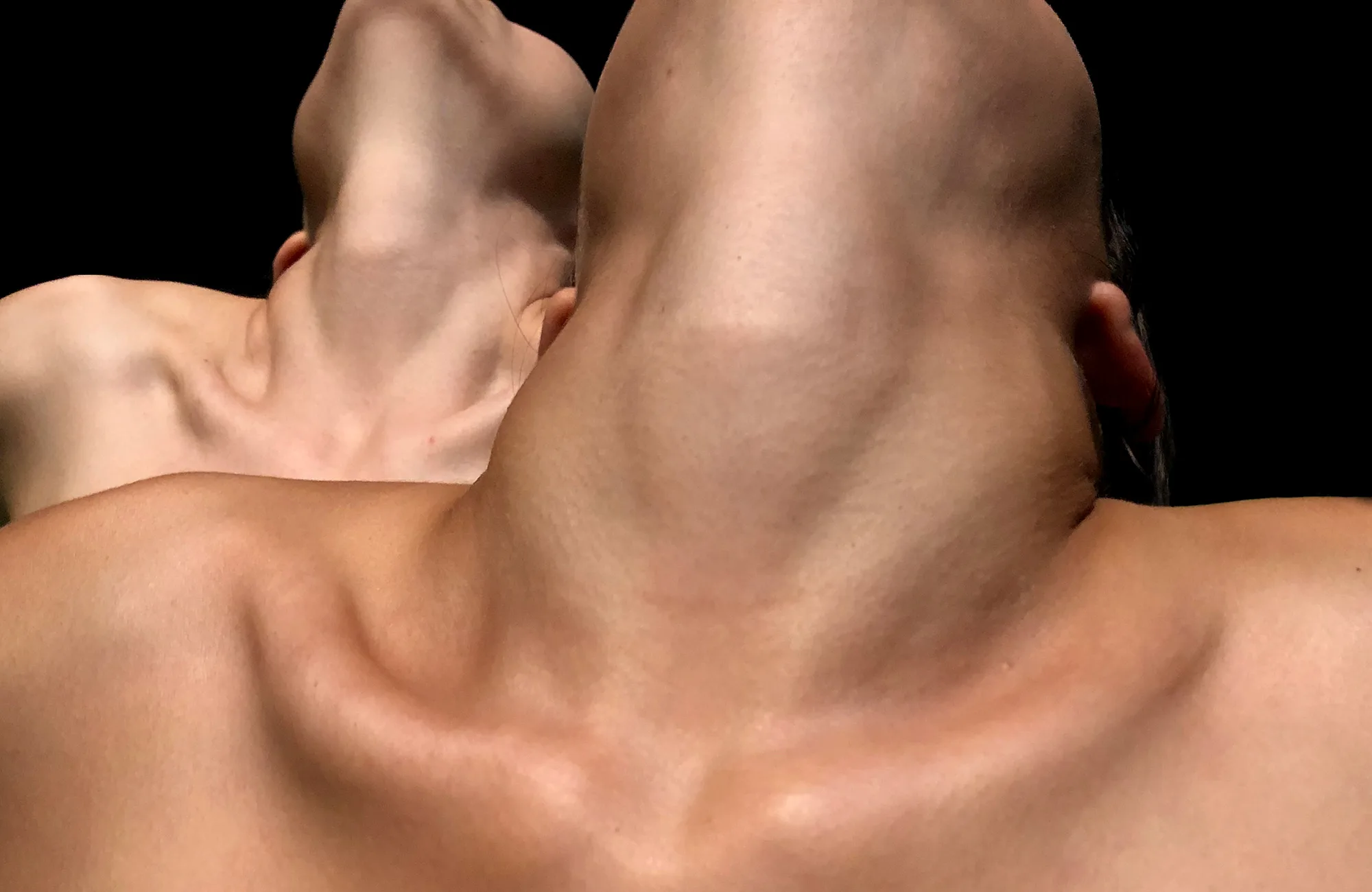 Anna Chirescu - Vaca