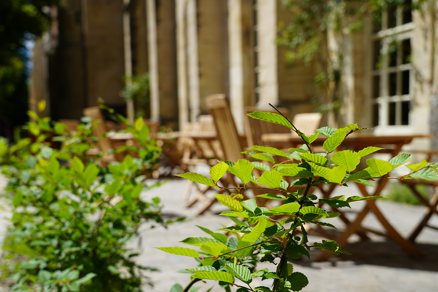 La terrasse de l'abbaye de Royaumont au soleil