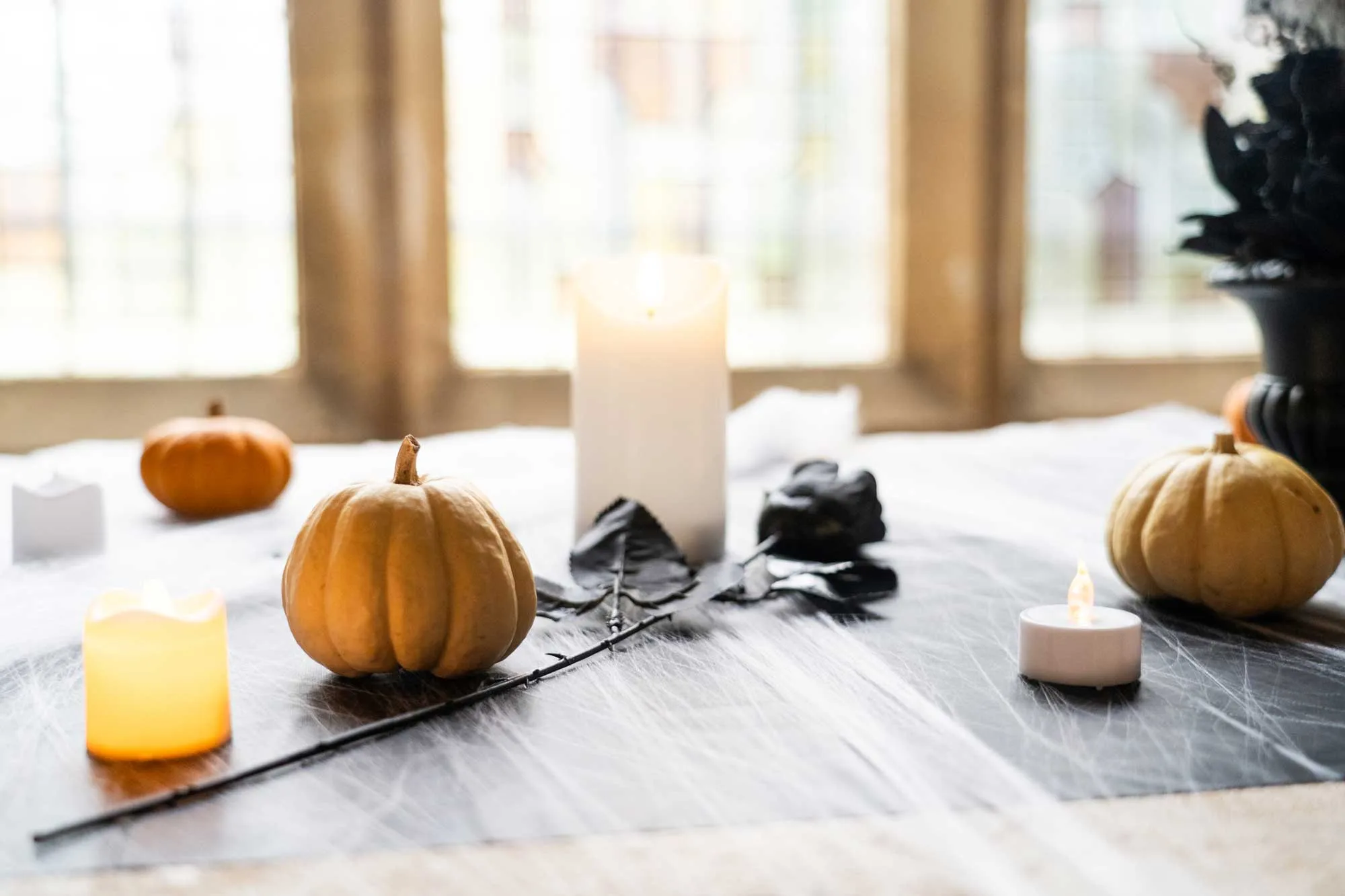 Activit&eacute;s &agrave; faire en famille le week end dans le val d'oise