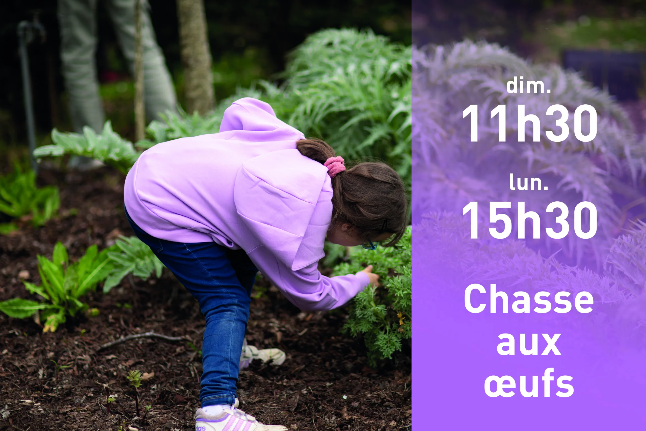 Chasse aux œufs dans le val d'oise