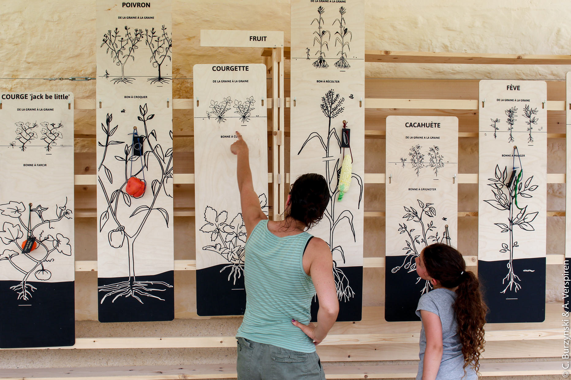 Atelier de découverte des légumes à l'abbaye de Royaumont