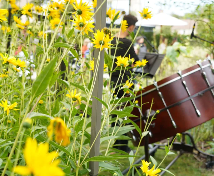 Musiciens dans le jardin de l'abbaye de Royaumont lors d'un concert
