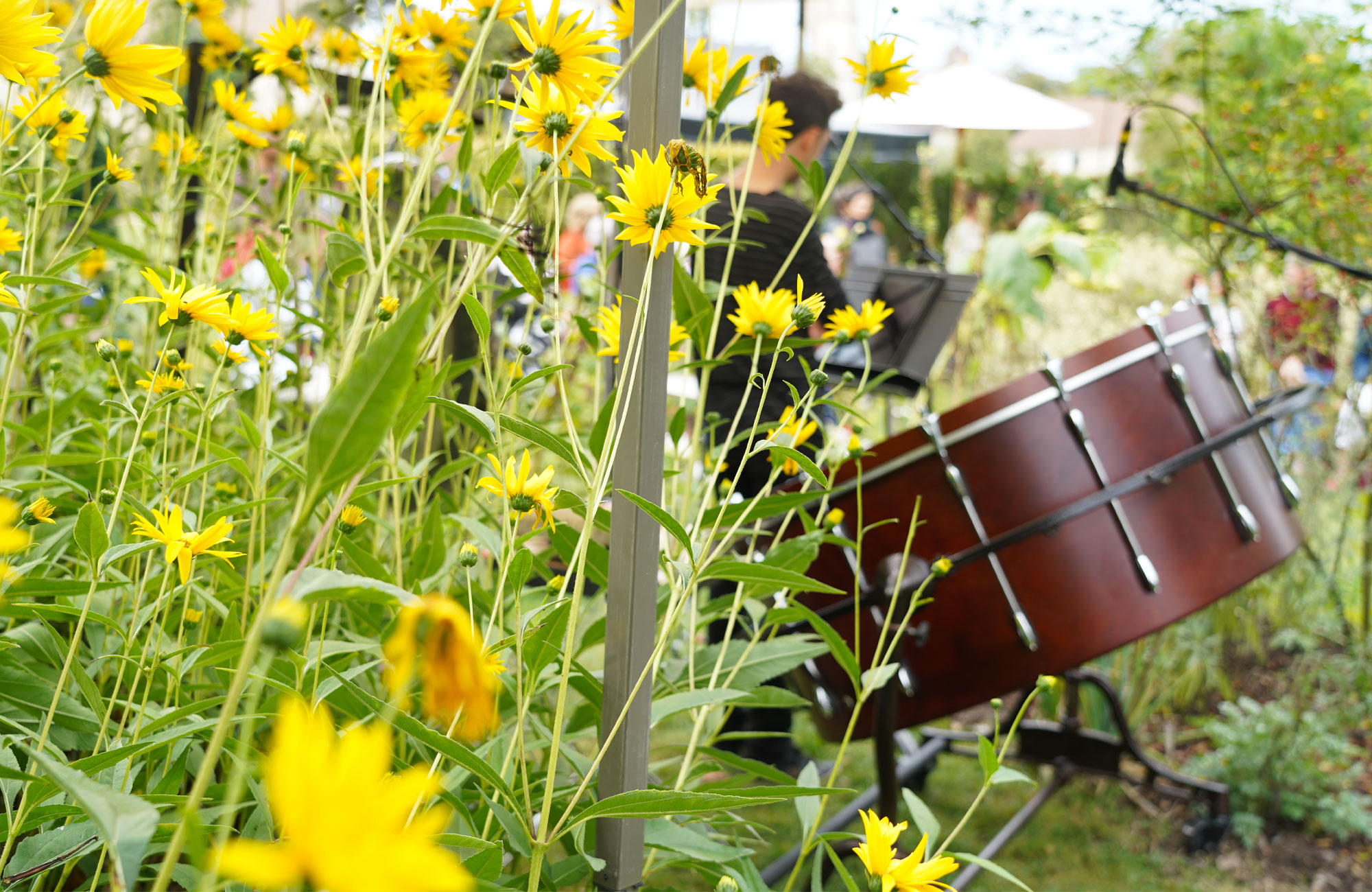 Musiciens dans le jardin de l'abbaye de Royaumont lors d'un concert