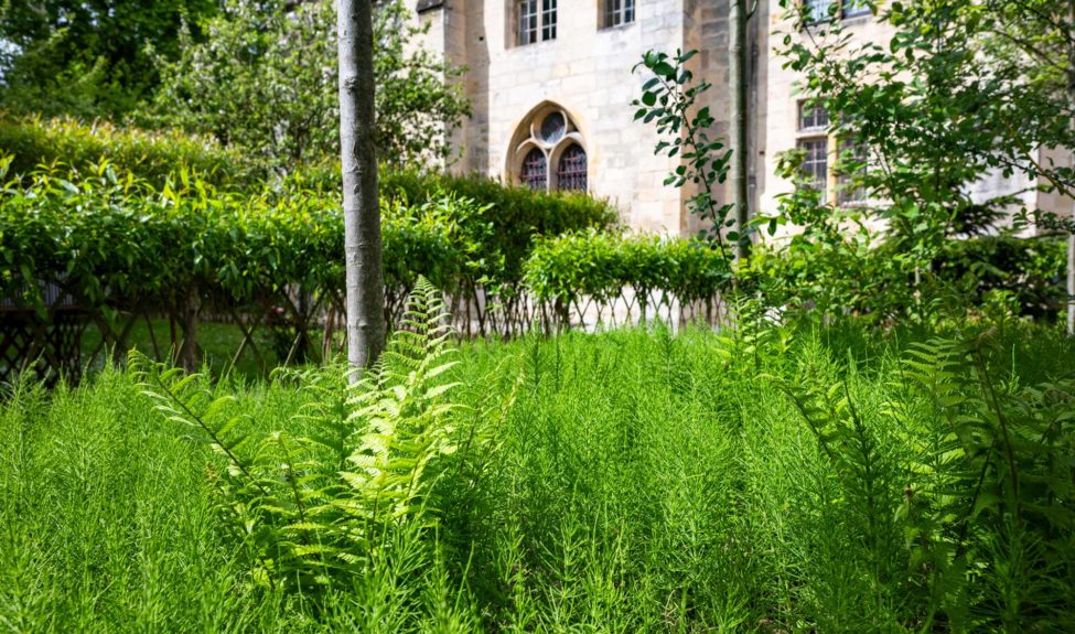Jardin des neuf carrés à l'abbaye de Royaumont