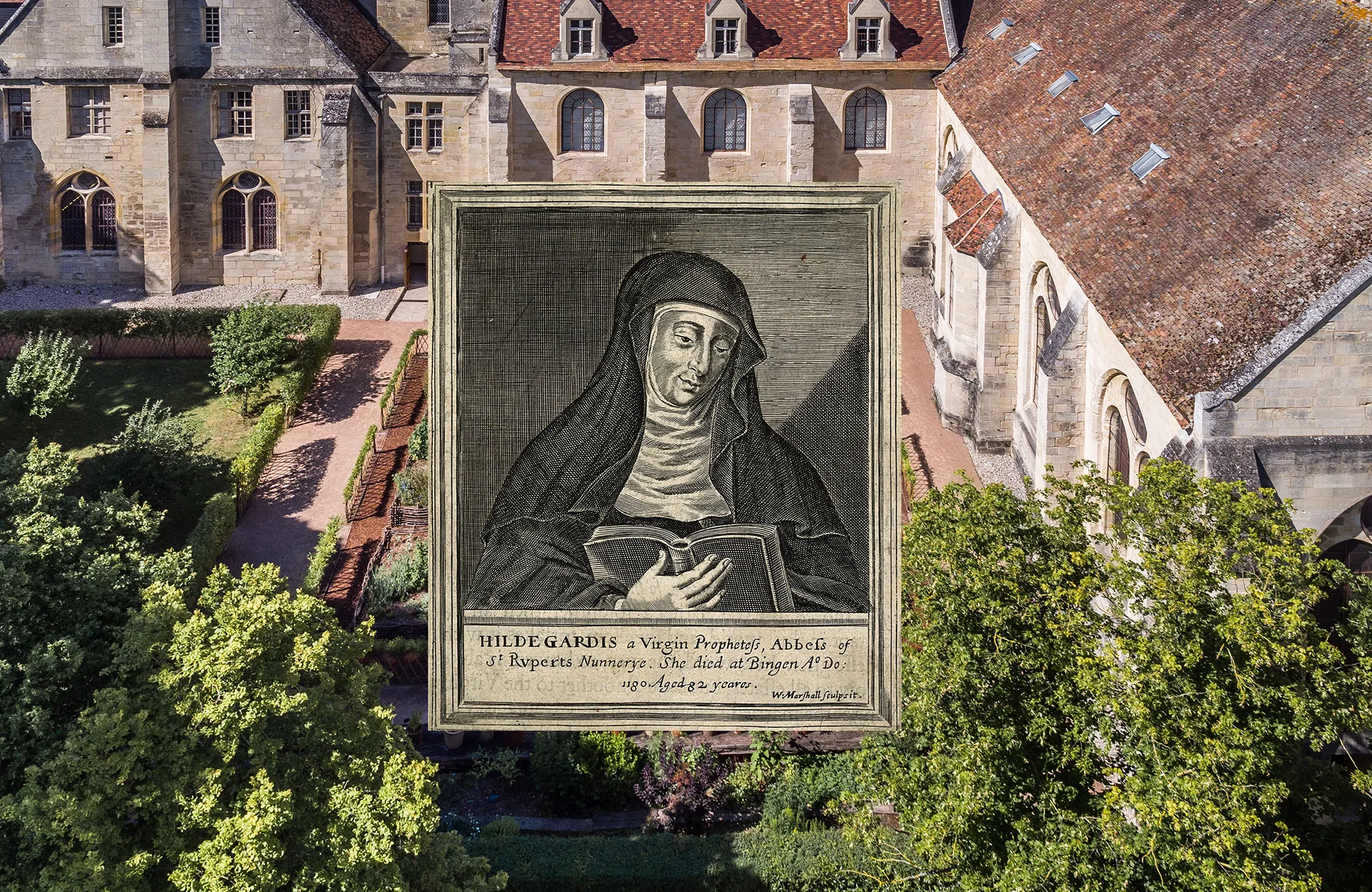 Collection de plantes médicinales dans le jardin d'inspiration médiévale de l'abbaye de royaumont