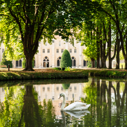 Un cygne glisse gracieusement sur un &eacute;tang bord&eacute; d'arbres, avec la majestueuse fa&ccedil;ade de l'abbaye de Royaumont se dressant fi&egrave;rement en arri&egrave;re-plan.