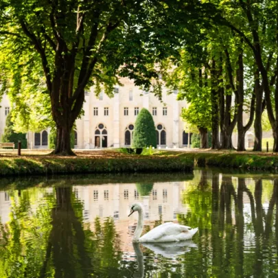 Un cygne glisse gracieusement sur un &eacute;tang bord&eacute; d'arbres, avec la majestueuse fa&ccedil;ade de l'abbaye de Royaumont se dressant fi&egrave;rement en arri&egrave;re-plan.