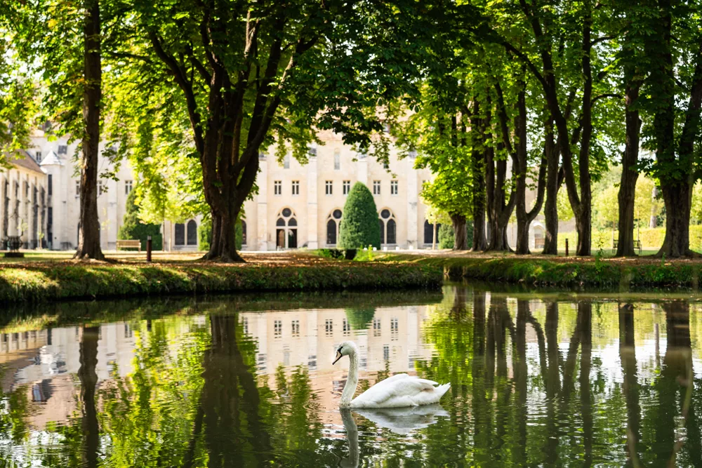 Un cygne glisse gracieusement sur un &eacute;tang bord&eacute; d'arbres, avec la majestueuse fa&ccedil;ade de l'abbaye de Royaumont se dressant fi&egrave;rement en arri&egrave;re-plan.