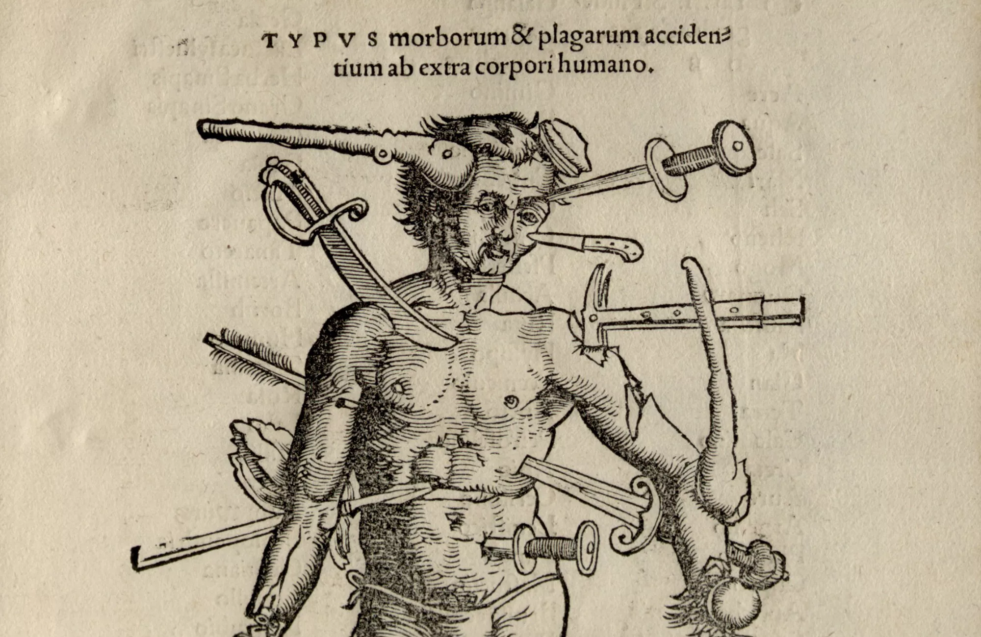 Avec la religieuse allemande Hildegarde de Bingen, apprendre &agrave; se soigner par les plantes