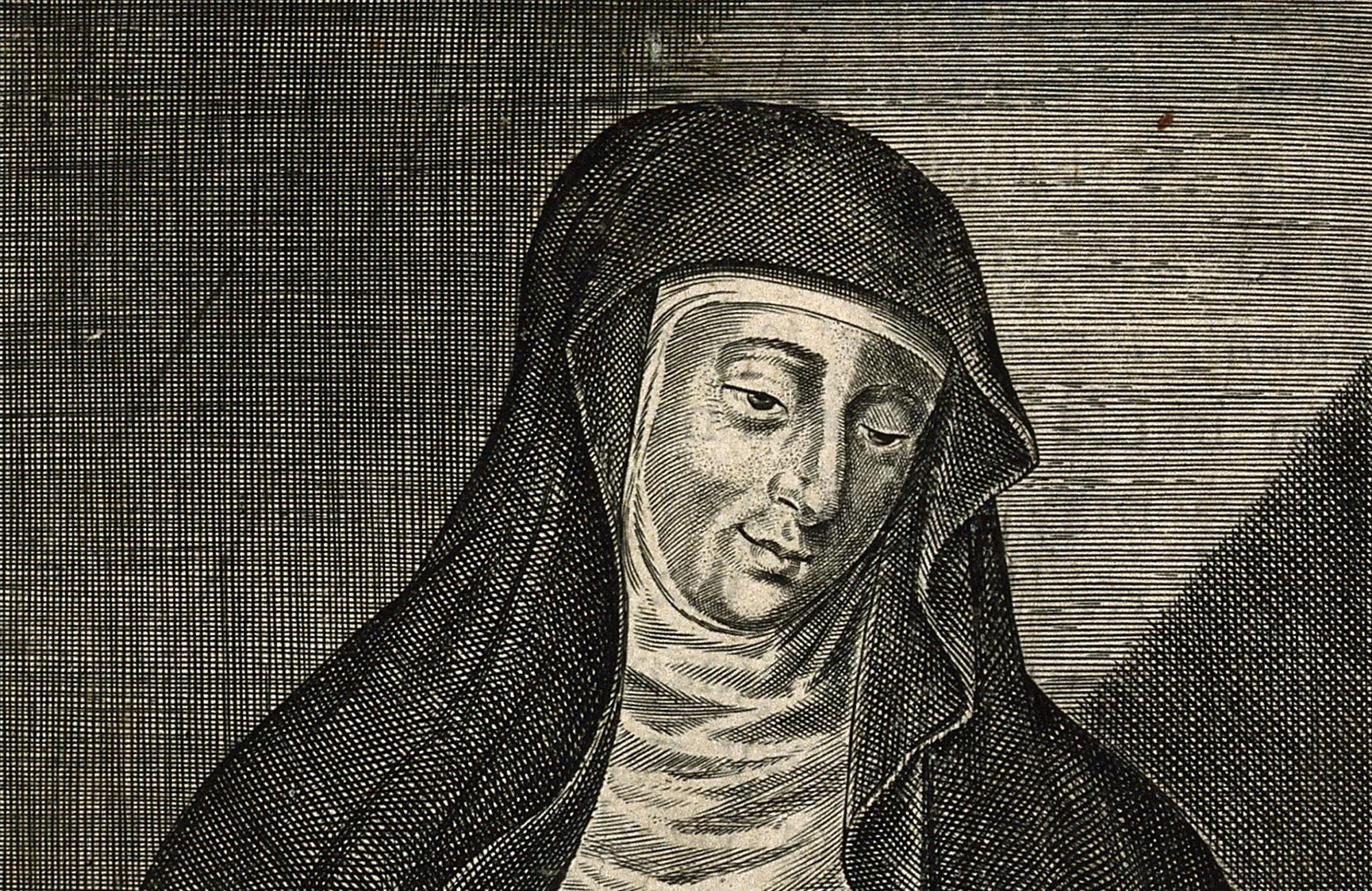 Avec la religieuse allemande Hildegarde de Bingen, apprendre &agrave; se soigner par les plantes