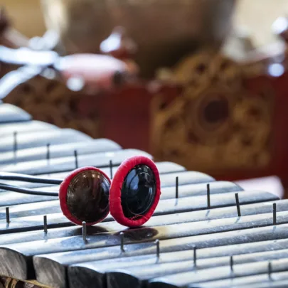 Formation d'artistes en &eacute;t&eacute;, en musiques transculturelles, destin&eacute;e aux interpr&egrave;tes, instrumentistes, compositeurs, compositrices dans le Val d'Oise