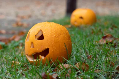 Citrouilles sculptées dans le parc de l'abbaye de Royaumont