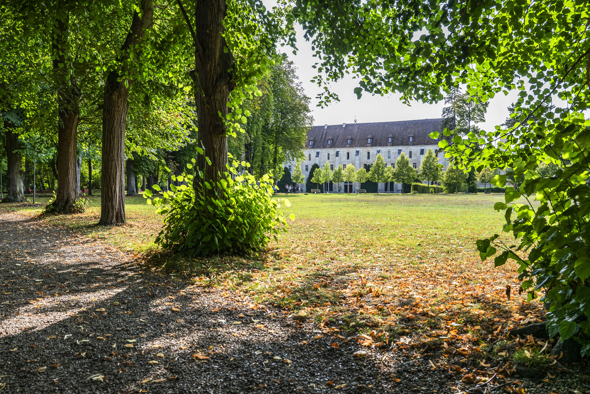 Contacter, &eacute;crire &agrave; la Fondatoin Royaumont, ou conna&icirc;tre l'&eacute;quipe