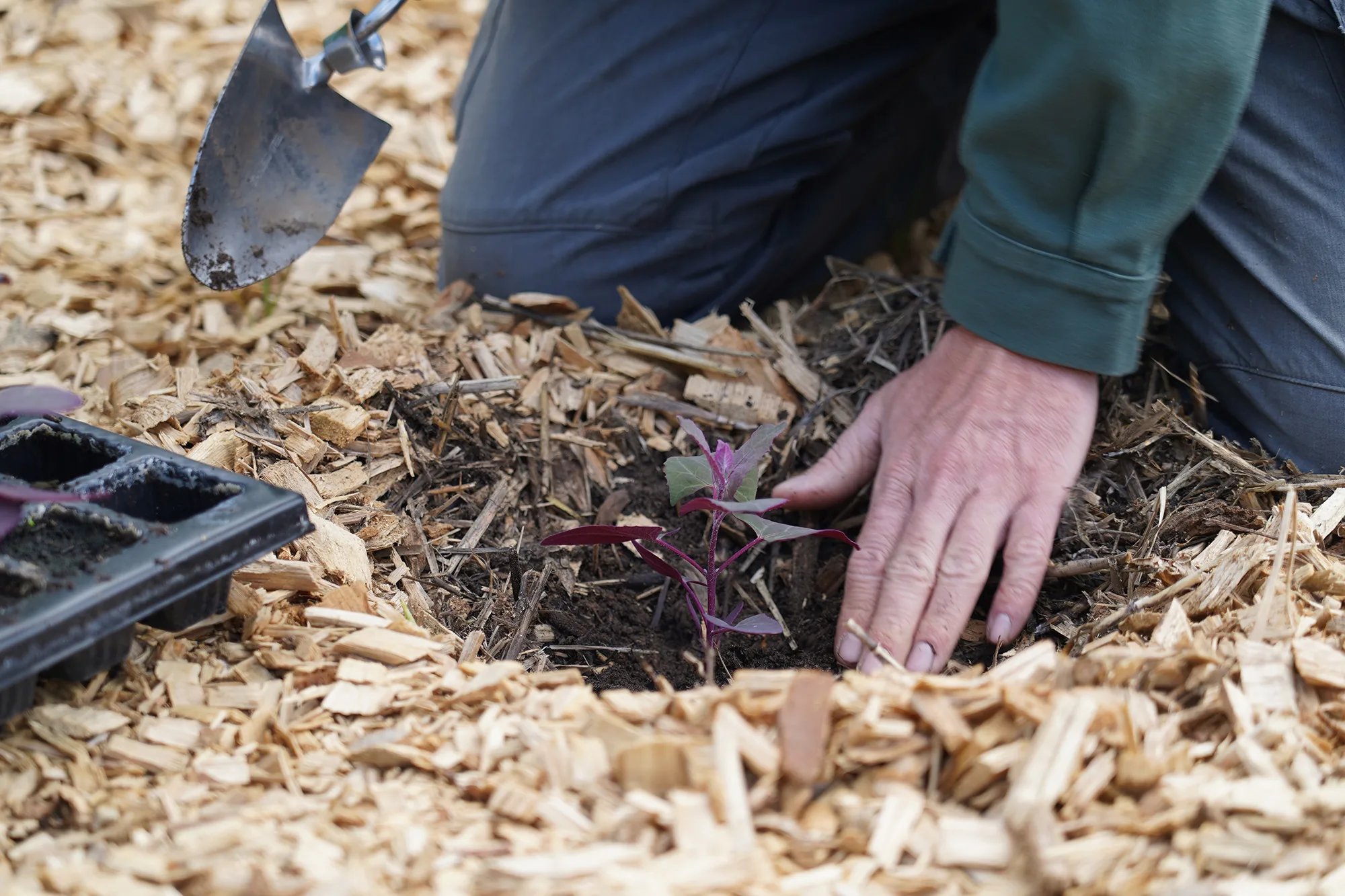 Un jardinier au travail &agrave; l'abbaye de Royaumont