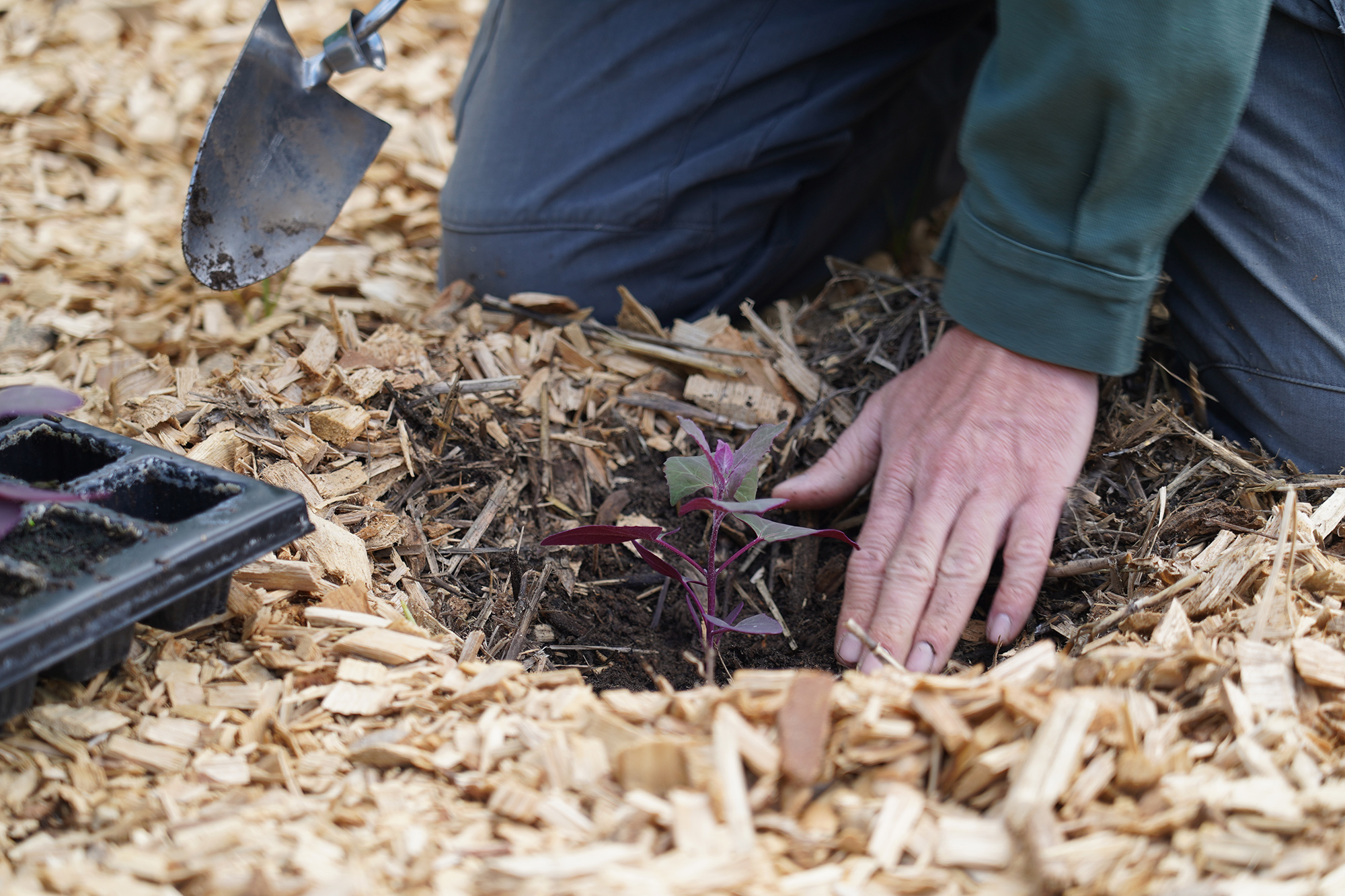 Un jardinier au travail à l'abbaye de Royaumont