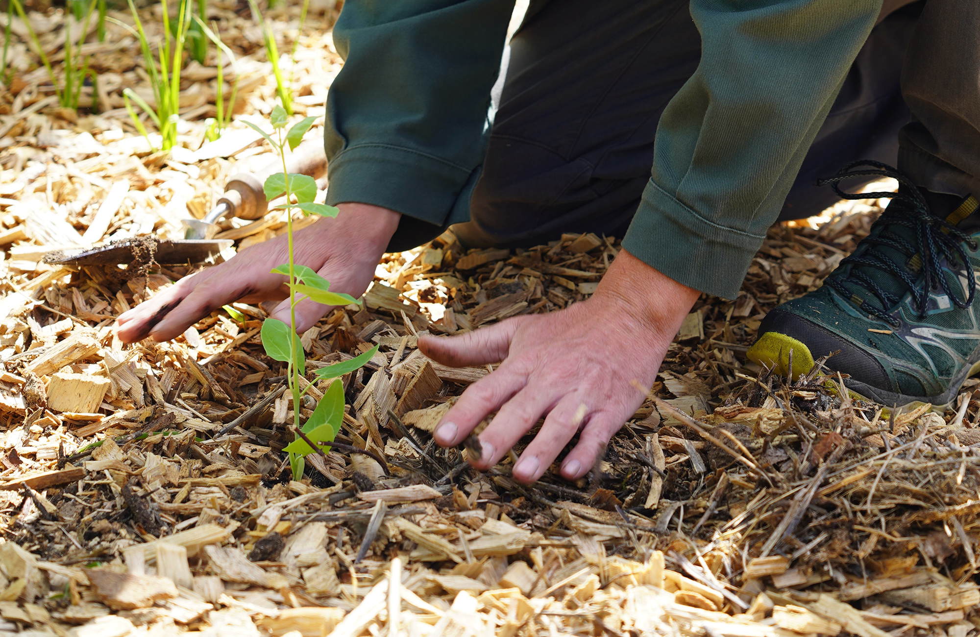 Un jardinier au travail à l'abbaye de Royaumont