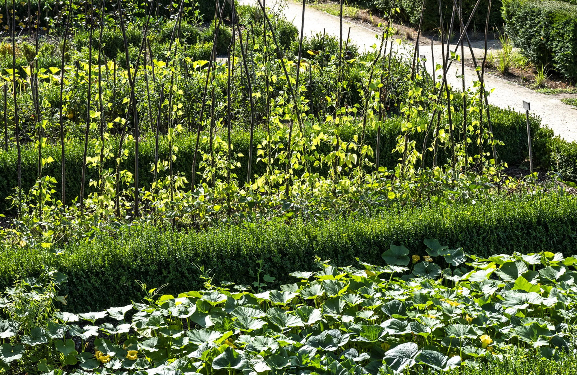 Le potager de l'abbaye de Royaumont vu de haut
