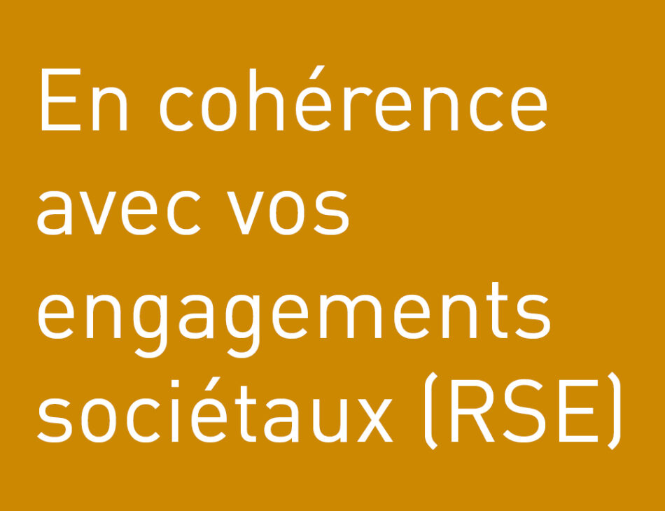 Vignette &agrave; propos des s&eacute;minaires : "En coh&eacute;rence avec vos engagements soci&eacute;taux (RSE)"